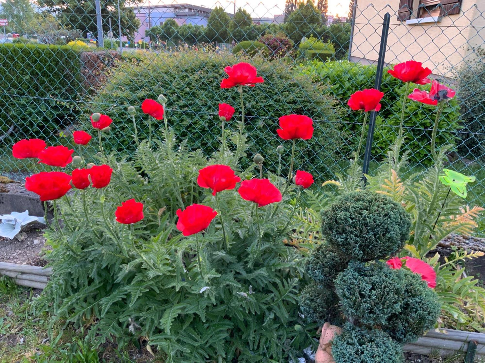 Le Nid Fleuri De Cravanche Dış mekan fotoğraf