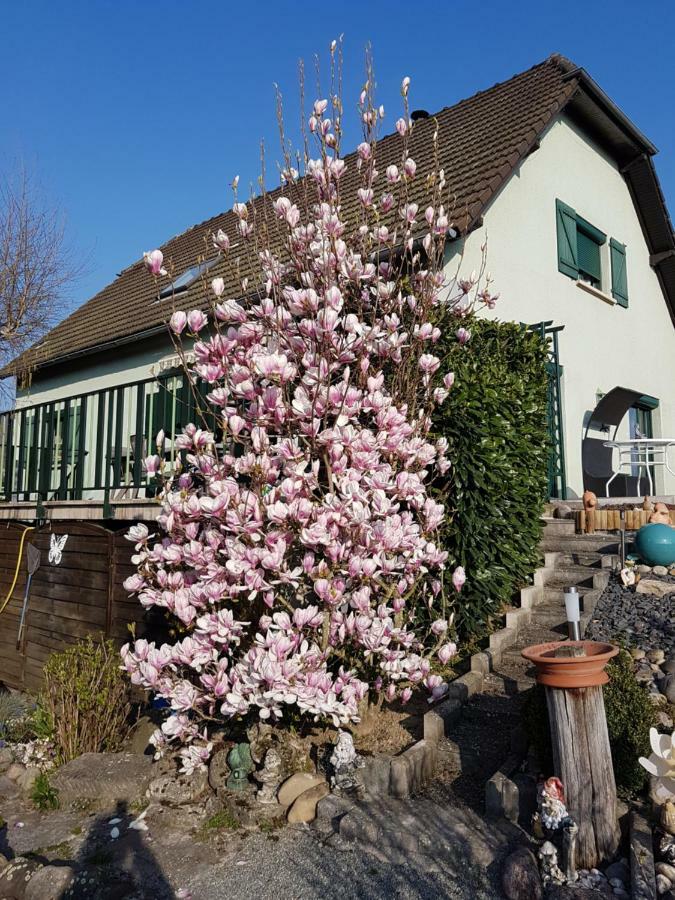 Le Nid Fleuri De Cravanche Dış mekan fotoğraf